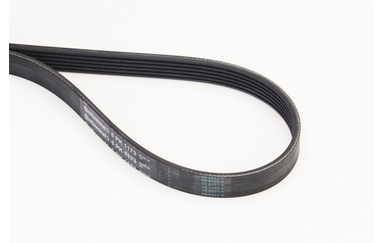 V-Ribbed Belts 6PK1173 Contitech