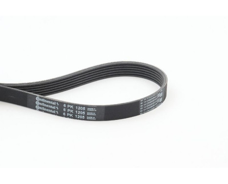 V-Ribbed Belts 6PK1205 Contitech, Image 2