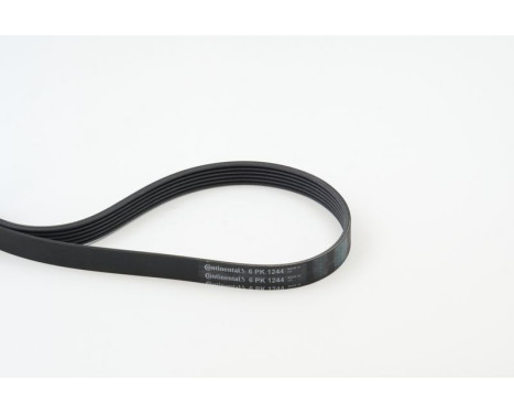 V-Ribbed Belts 6PK1244 Contitech, Image 2