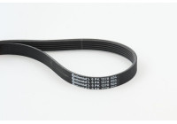 V-Ribbed Belts 6PK1370 Contitech