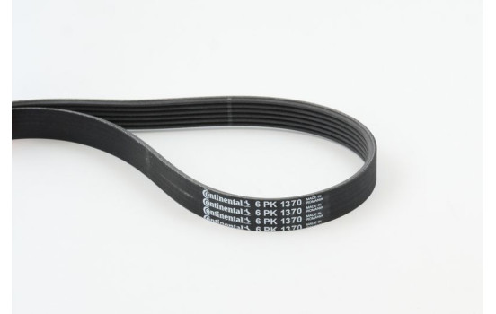 V-Ribbed Belts 6PK1370 Contitech