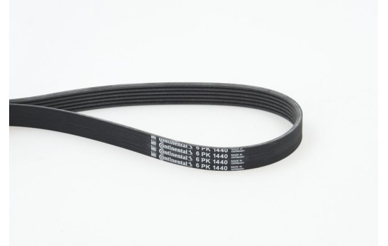 V-Ribbed Belts 6PK1440 Contitech, Image 2