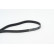 V-Ribbed Belts 6PK1453 Contitech, Thumbnail 2