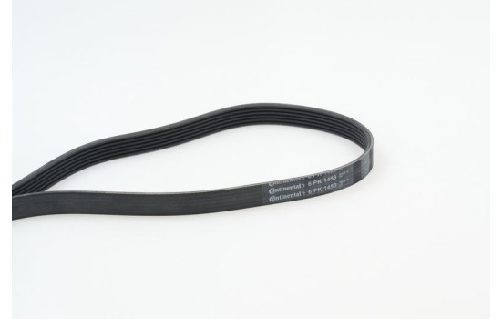 V-Ribbed Belts 6PK1453 Contitech, Image 2