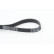 V-Ribbed Belts 6PK1560 Contitech, Thumbnail 2
