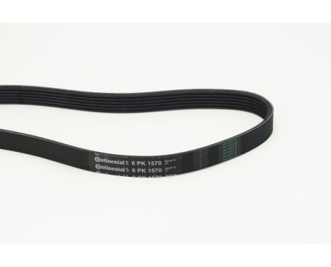 V-Ribbed Belts 6PK1570 Contitech, Image 2