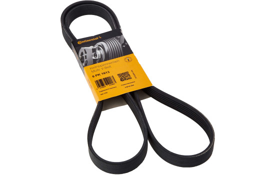 V-Ribbed Belts 6PK1613 Contitech