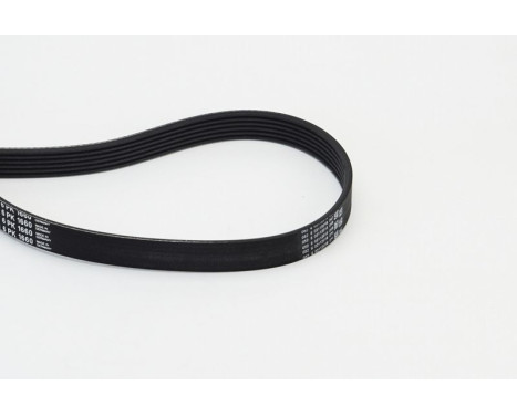 V-Ribbed Belts 6PK1660 Contitech, Image 3