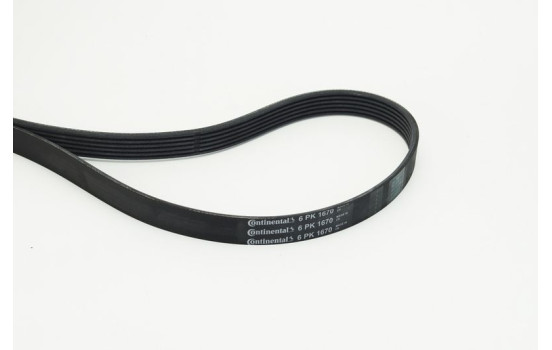 V-Ribbed Belts 6PK1670 Contitech, Image 2
