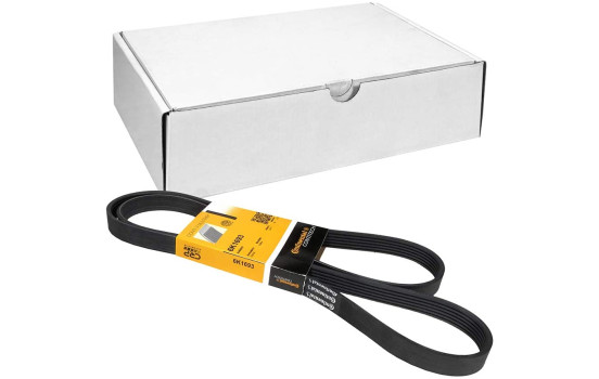 V-Ribbed Belts 6PK1693 Contitech