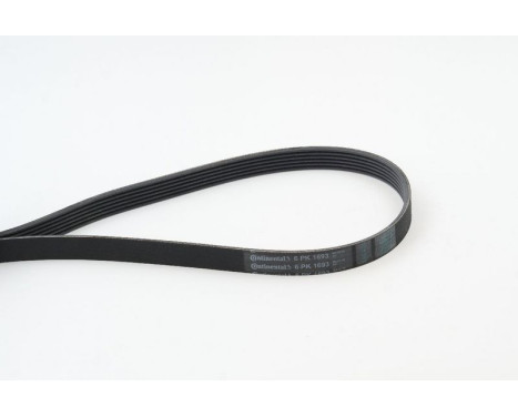 V-Ribbed Belts 6PK1693 Contitech, Image 2