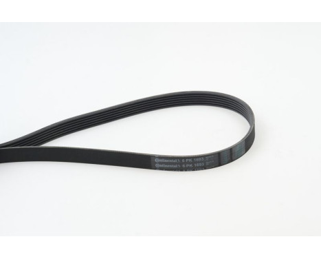 V-Ribbed Belts 6PK1693 Contitech, Image 2