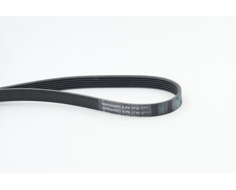 V-Ribbed Belts 6PK1710 Contitech, Image 2
