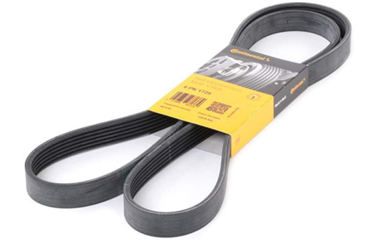 V-Ribbed Belts 6PK1725 Contitech