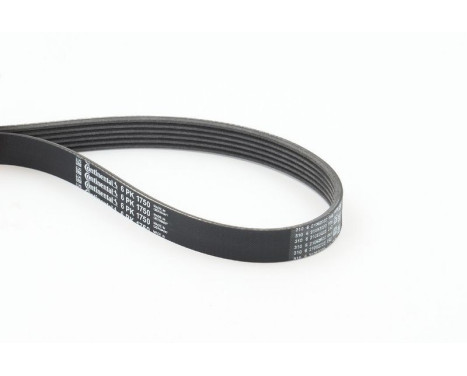 V-Ribbed Belts 6PK1750 Contitech, Image 2