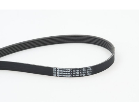 V-Ribbed Belts 6PK1795 Contitech, Image 2