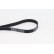 V-Ribbed Belts 6PK1836 Contitech, Thumbnail 2
