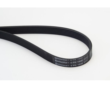 V-Ribbed Belts 6PK1840 Contitech, Image 2