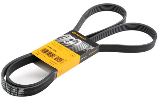 V-Ribbed Belts 6PK1856 Contitech