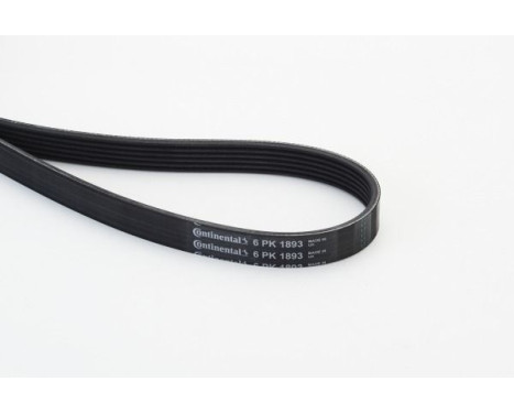 V-Ribbed Belts 6PK1893 Contitech, Image 2