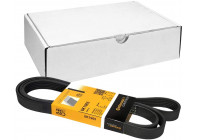 V-Ribbed Belts 6PK1965 Contitech