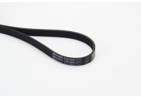 V-Ribbed Belts 6PK2000 Contitech