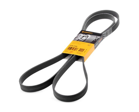 V-Ribbed Belts 6PK2160 Contitech