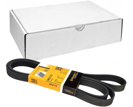 V-Ribbed Belts 6PK2175 Contitech