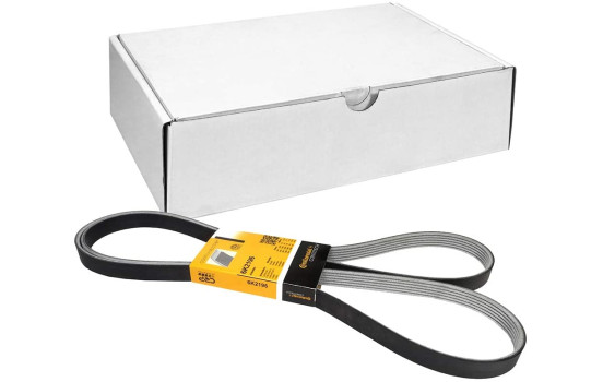 V-Ribbed Belts 6PK2196 Contitech