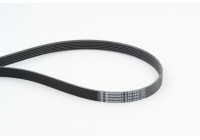 V-Ribbed Belts 6PK2490 Contitech
