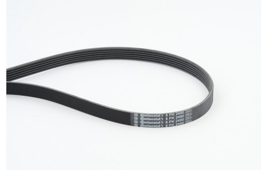 V-Ribbed Belts 6PK2490 Contitech