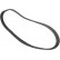 V-Ribbed Belts 6PK2581 Contitech