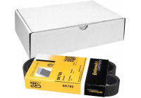 V-Ribbed Belts 6PK780 Contitech