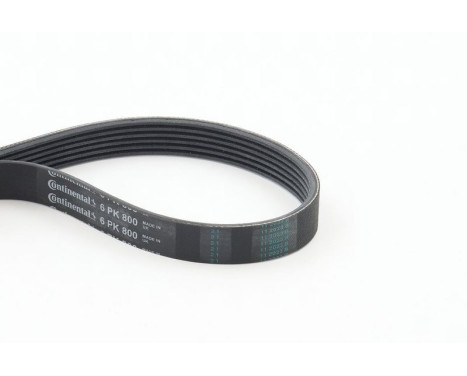 V-Ribbed Belts 6PK800 Contitech