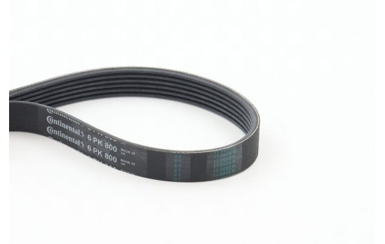 V-Ribbed Belts 6PK800 Contitech