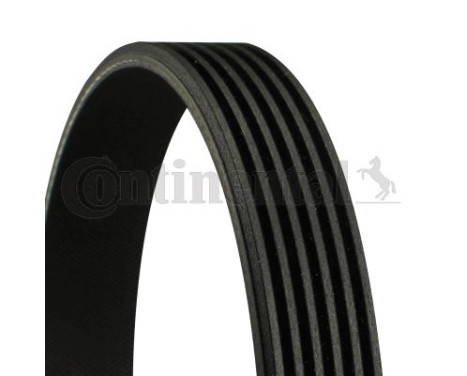 V-Ribbed Belts 6PK836 Contitech