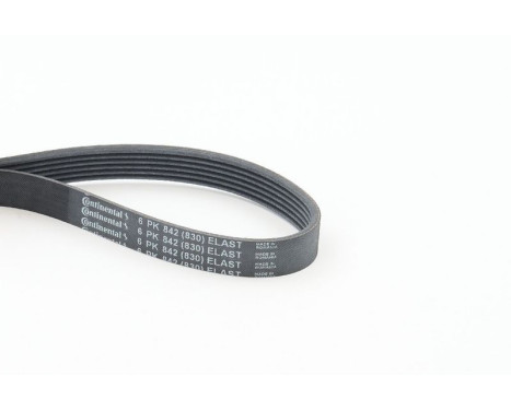 V-Ribbed Belts 6PK842 ELAST Contitech, Image 2