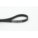 V-Ribbed Belts 6PK906 Contitech, Thumbnail 3