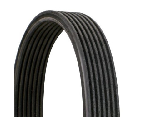 V-Ribbed Belts 7DPK2569 Contitech