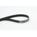 V-Ribbed Belts 7PK1104 Contitech, Thumbnail 2