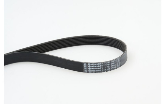 V-Ribbed Belts 7PK1104 Contitech, Image 2