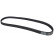 V-Ribbed Belts 7PK1125 Contitech