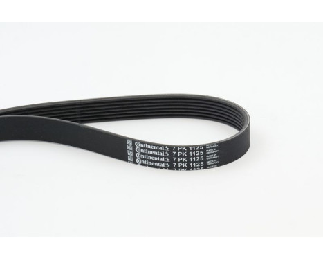 V-Ribbed Belts 7PK1125 Contitech, Image 2