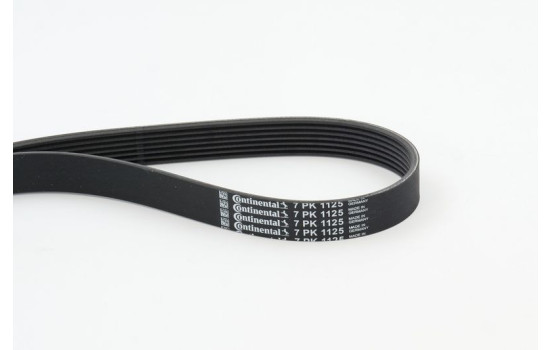 V-Ribbed Belts 7PK1125 Contitech, Image 2