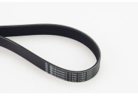 V-Ribbed Belts 7PK1165 Contitech