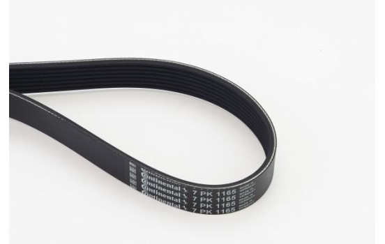 V-Ribbed Belts 7PK1165 Contitech