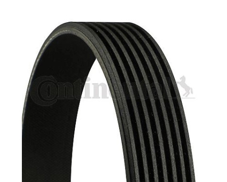 V-Ribbed Belts 7PK1350 Contitech