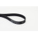 V-Ribbed Belts 7PK1605 Contitech, Thumbnail 2