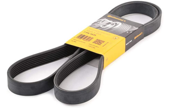 V-Ribbed Belts 7PK1629 Contitech