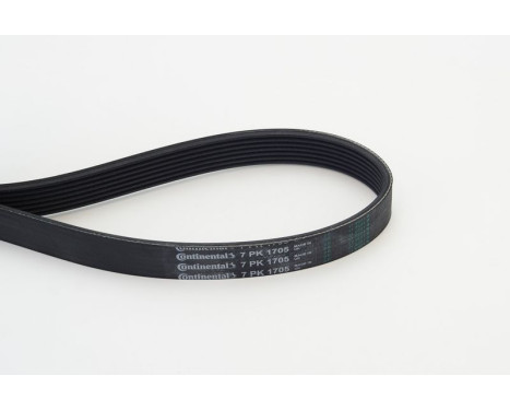 V-Ribbed Belts 7PK1705 Contitech